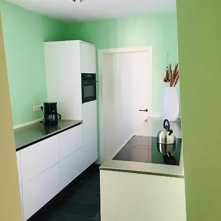 Villa Stadsvilla Met Patio In Centrum